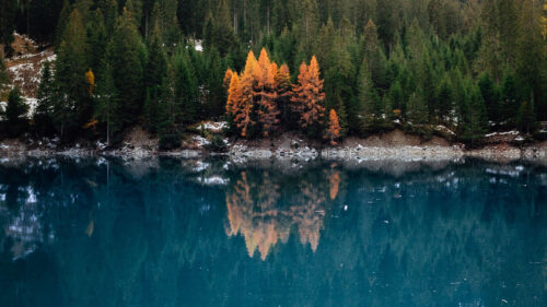 Lake, Forest, Slope Wallpapers Free Download