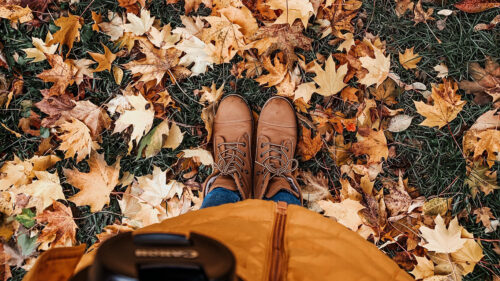 Legs, Boots, Autumn, Wallpapers Free Download