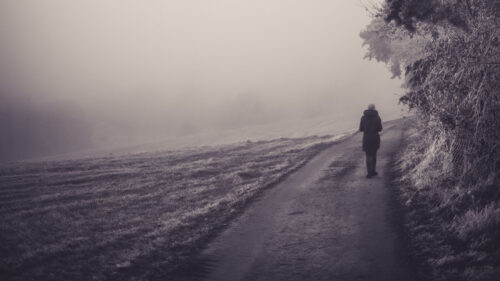 Man, Alone, Fog Wallpapers Free Download