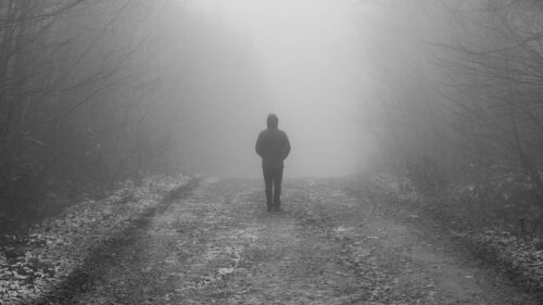 Man, Fog, Loneliness Wallpapers Free Download