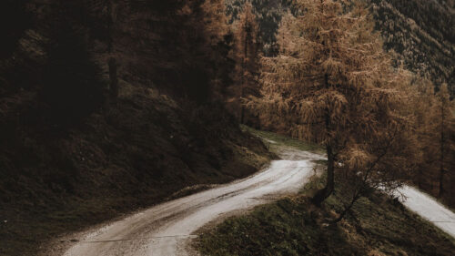 Mountain, Road, Trees Wallpapers Download For Your Device (1)