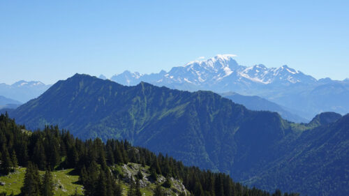 Mountains, Trees, Aerial, View Wallpapers Free Download