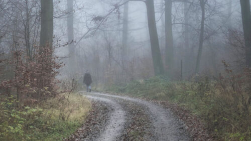 Nan, Alone, Fog Wallpapers Free Download