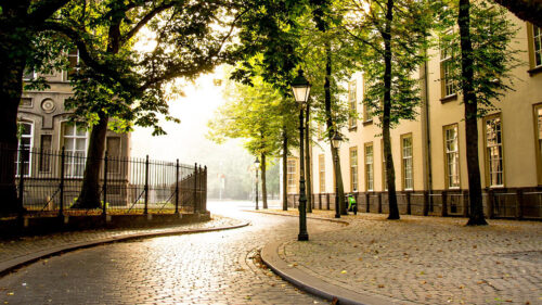 Street, City, Park HD Wallpapers Free Download
