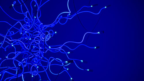 Wires, Lamp, Neon Wallpapers Download