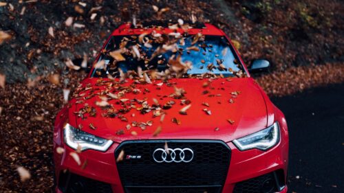 Audi Car, Front, View HD Wallpapers Free Download