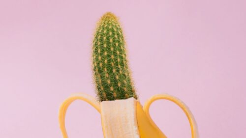 Banana, Cactus, Creative HD Wallpapers Free Download