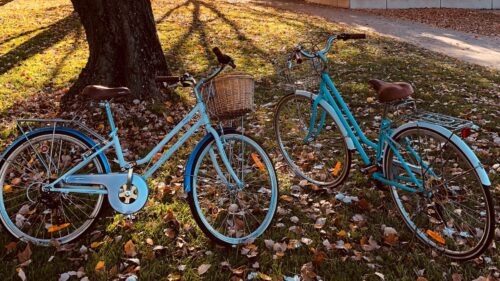 Bicycles, Autumn, Park, Walk Desktop Wallpapers Free Download