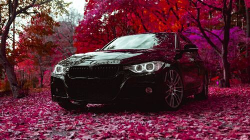 Bmw F30 335i, Bmw, Car Free Wallpapers Download