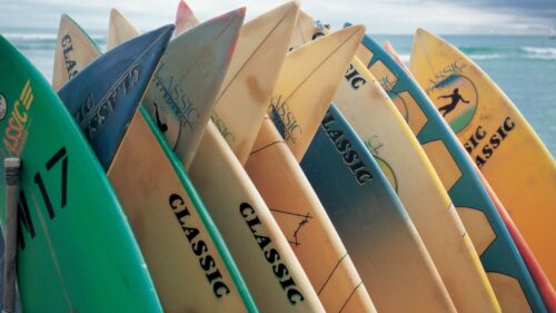 Board, Surfing, Sea, Sport, Extreme, Wallpapers Free Download