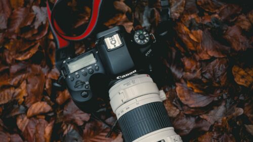 Canon Camera Lens, Leaves Wallpapers Download