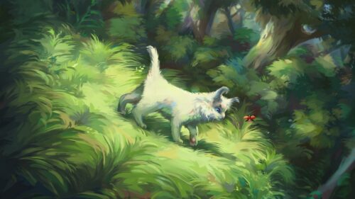 Cat, Bug, Grass Wallpapers Free Download