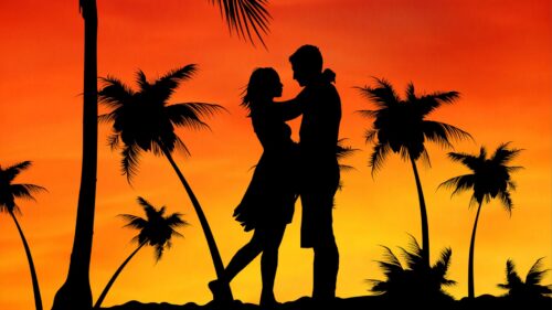 Couple, Love, Palms, Sunset HD Wallpapers Download