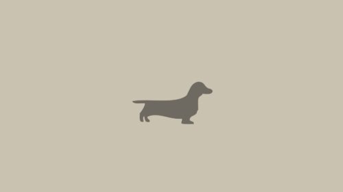 Dachshund, Dog, Minimalism, Animal Free Wallpapers Download