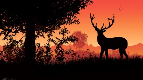 Deer, Horns, Sunset Free Wallpapers Download