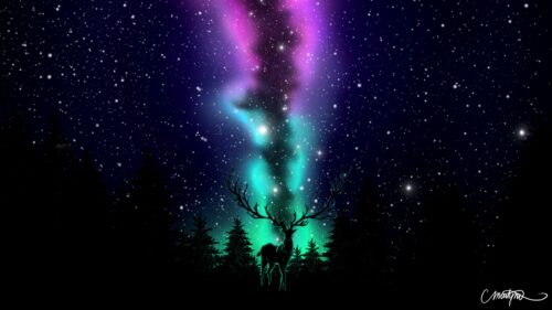 Deer, Northern, Lights Free Wallpapers Download