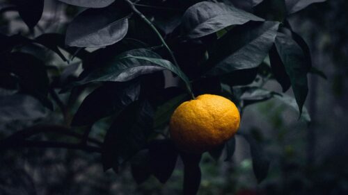 Desktop, Windows, Mac, iOS Ultra Qualty Wallpapers Free Download (12)