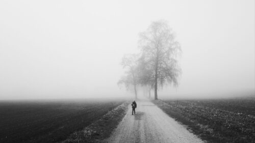 Fog, Alone, Bw HD Wallpapers Free Download