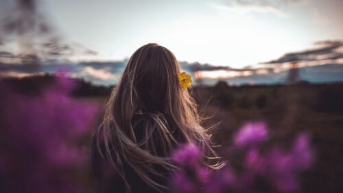 Girl, Hair, Flower Free Wallpapers Download