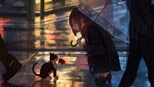 Girl, Kitten, Flower Free Wallpapers Download