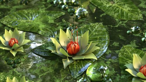 Lotus, Flower HD Wallpapers Free Download