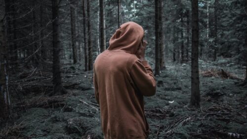 Man, Forest, Hoodie, Walk Free Wallpapers Download