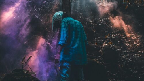 Man, Forest, Smoke Free Wallpapers Download