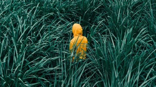 Man, Grass, Walk Free Wallpapers Download