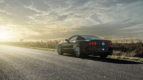 Mustang, GT, Cars, Road, Light, Rear View Desktop Wallpapers Free Download