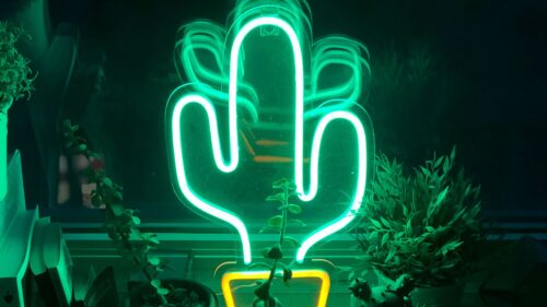 Neon, Cactus, Flowers Wallpapers Free Download