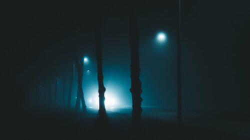 Night, Trees, Fog Wallpapers Free Download
