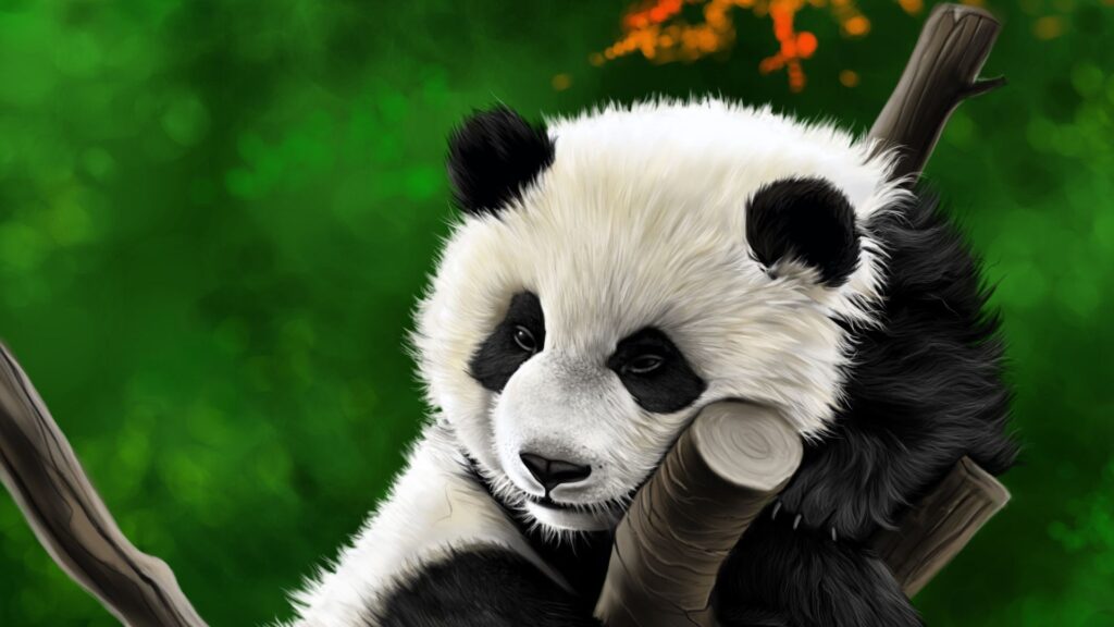 Panda, Animal, Branch Wallpapers Download For Your Desktop