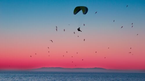 Paragliding, Parachute, Sea HD Wallpapers Free Download