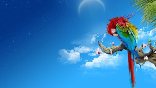Parrot, Colorful, Feathers, Thread HD Wallpapers Free Download
