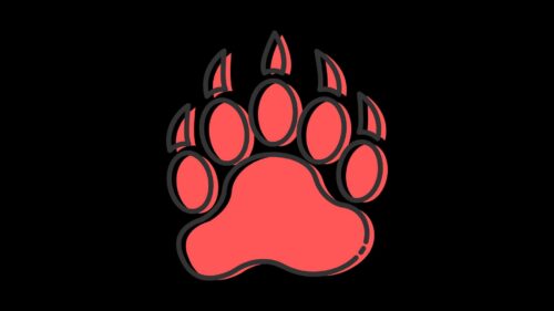 Paw, Footprint, Animal HD Wallpapers Free Download