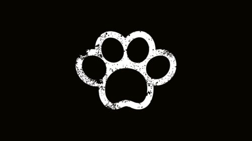 Paw, Footprint, Art HD Wallpapers Free Download