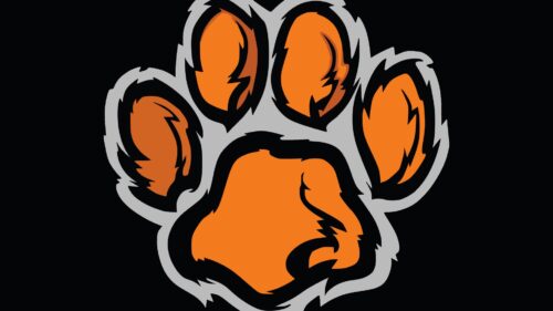 Paw, Trace, Imprint HD Wallpapers Free Download