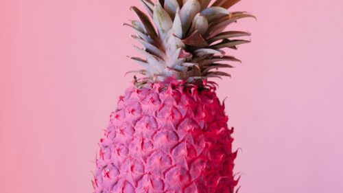 Pineapple, Fruit, Pink HD Wallpapers Free Download