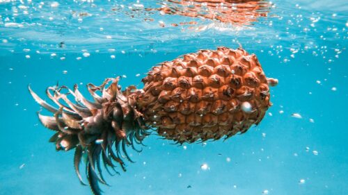 Pineapple, Fruit, Tropical HD Wallpapers Free Download