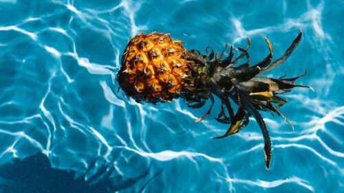 Pineapple, Tropics, Water HD Wallpapers Free Download