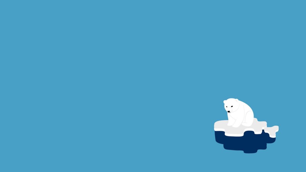 Polar Bear, Ice, Minimalism HD Wallpapers Free Download