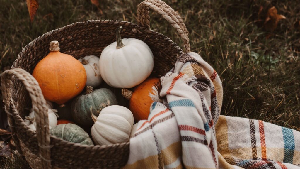 Pumpkin, Basket, Plaid HD Wallpapers Free Download