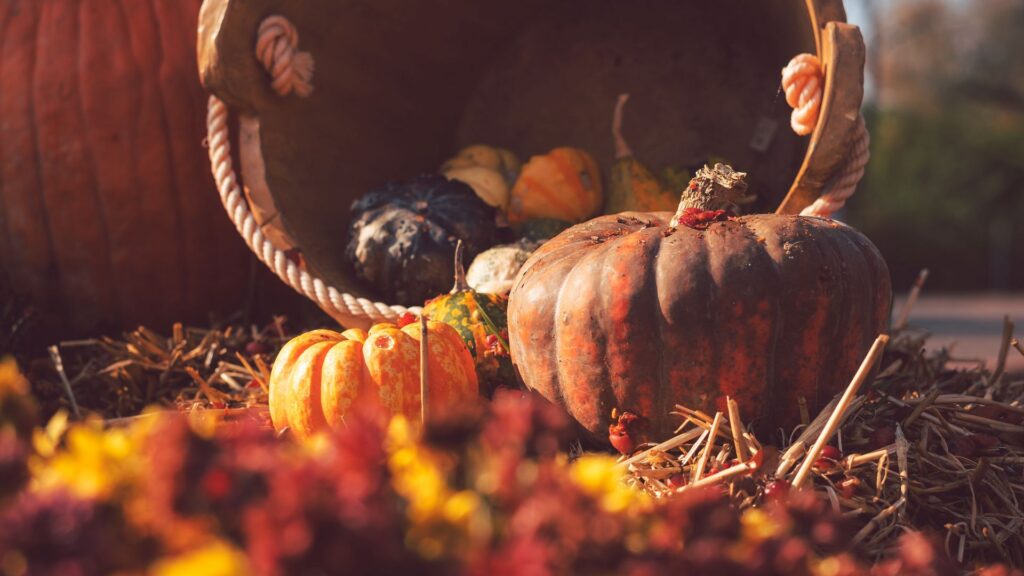 Pumpkin, Basket, Straw HD Wallpapers Free Download
