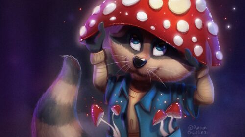 Raccoon, Mushroom, fly, agaric HD Wallpapers Free Download