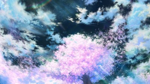 Sakura, Art, Sky Wallpapers Free Download
