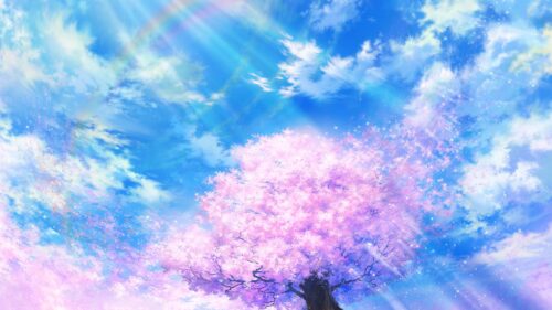 Sakura, Rainbow, Art Wallpapers Free Download