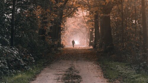 Silhouette, Alone, Path Wallpapers Free Download
