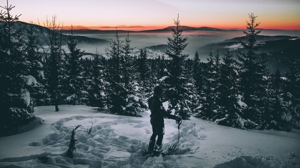Skier, Snow, Winter, Trees 4K Desktop Wallpapers Free Download
