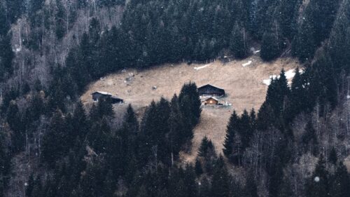Slope, Forest, House, 4K Desktop Wallpapers Free Download