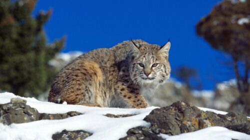 Snow, Sky, Danger 4K Desktop Wallpapers Free Download